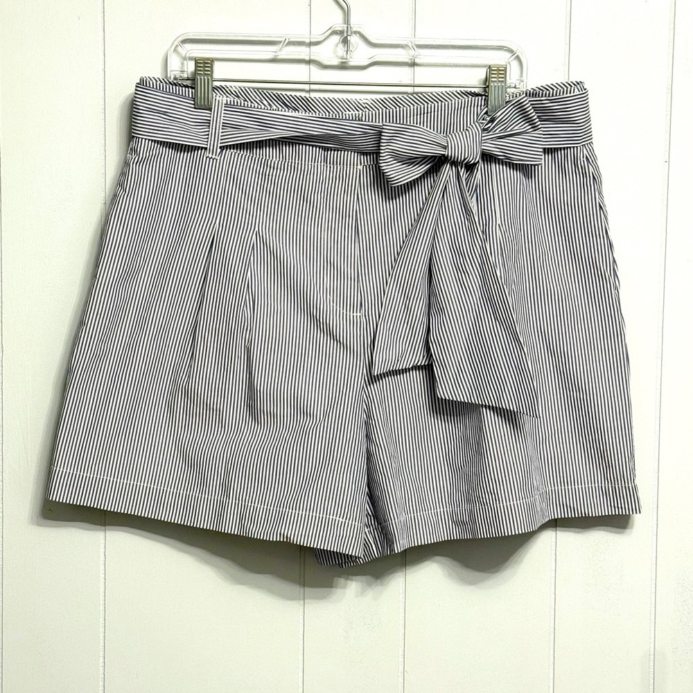 #14) Crown & Ivy Blue and White Striped High Waist Shorts with Full Lining